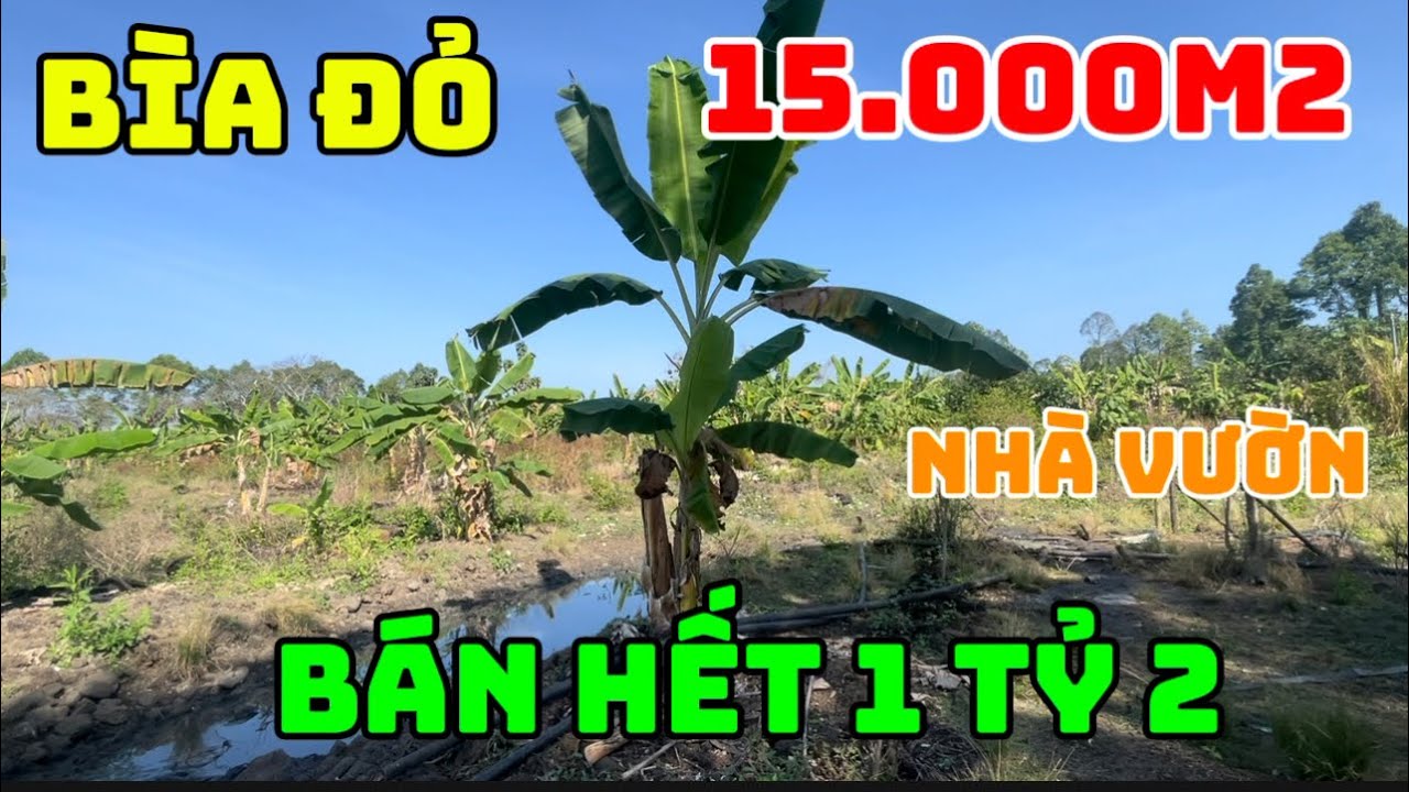 Càn bán 1 héc 5 nhà 🏠 vườn trái cây giếng khoan điện nước đầy đủ sổ Hồng riêng giá bán 1 tỷ 2