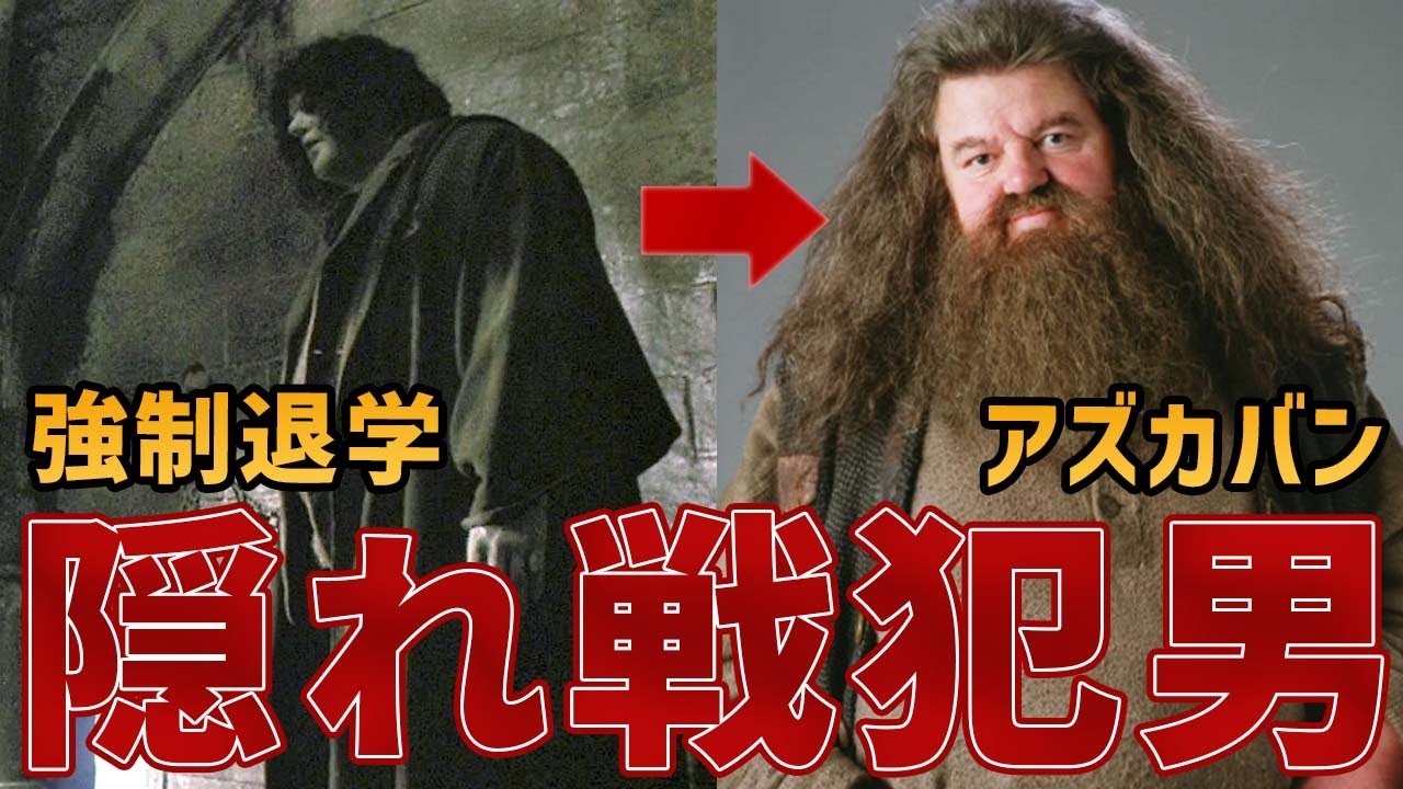 【やらかしすぎだが憎めない】ルビウス・ハグリッドの生涯とマクシームとのその後【半巨人】