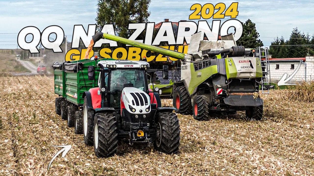 ✩ 🇵🇱 KUKURYDZA NA ZIARNO 2024 ✔ 