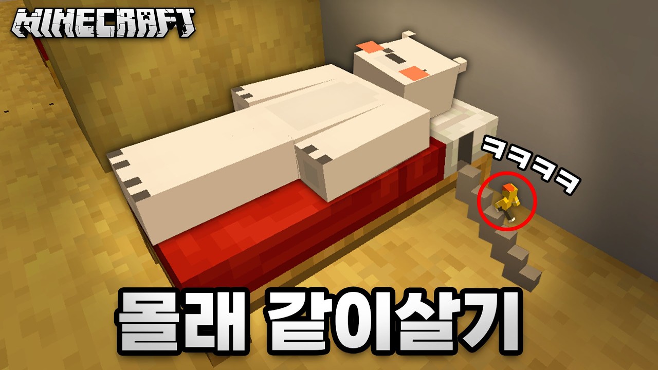 멤버들 집에서 들킬 때까지 숨어서 같이 살았습니다ㅋㅋ
