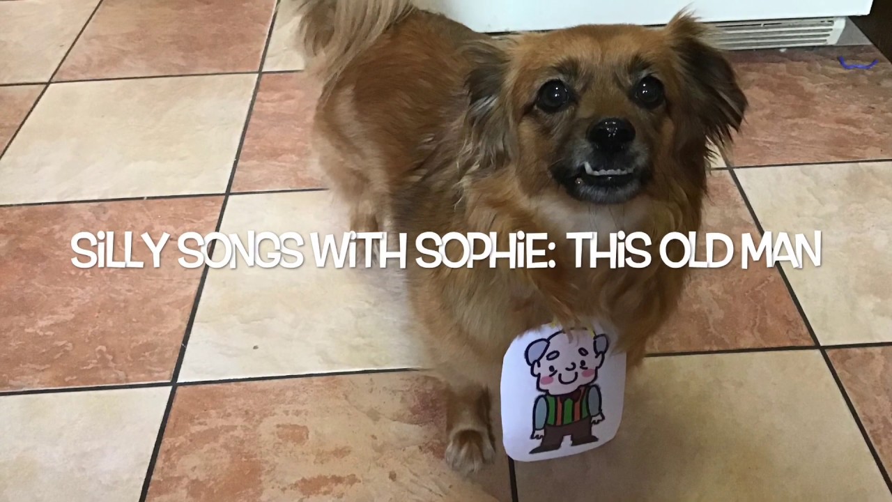 Silly Songs with Sophie