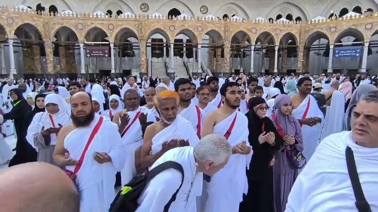 18 November 25 Al Misbah Tours And Travels @almisbahtoursandtravels6214