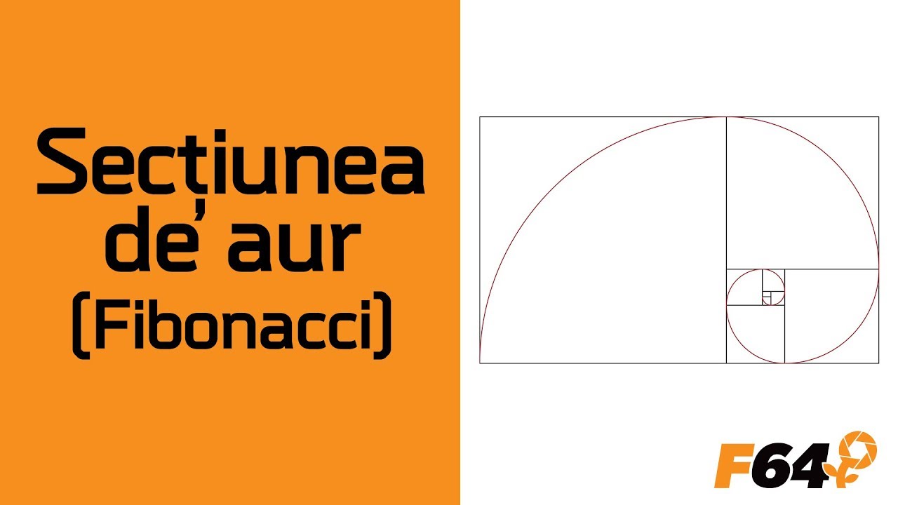 Lecția de compoziție - Secțiunea de aur (ep.3)