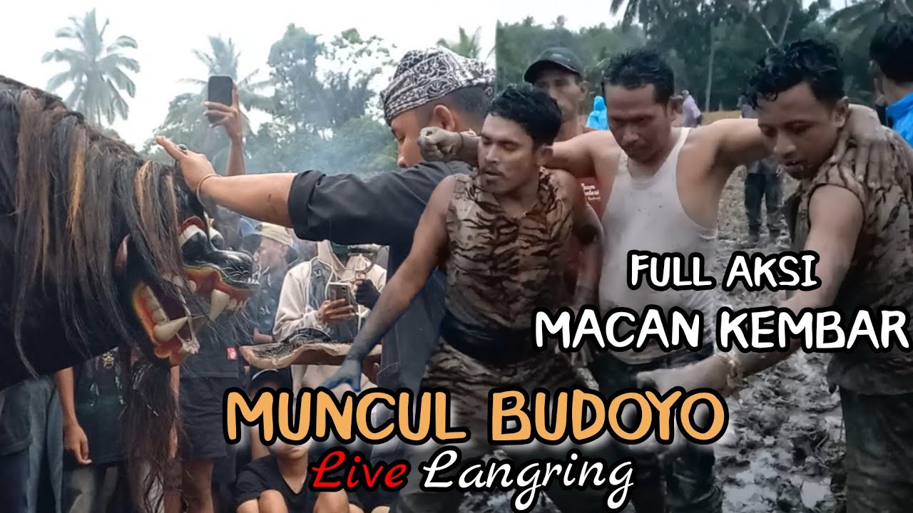 Aksi Macan Kembar Seni Barong Muncul Budoyo Mberan Lor Live Langring