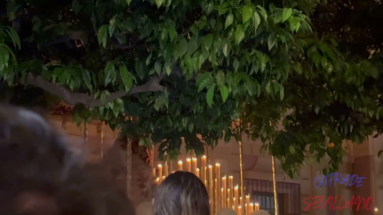 Hermandad del Gran Poder Semana Santa 2025