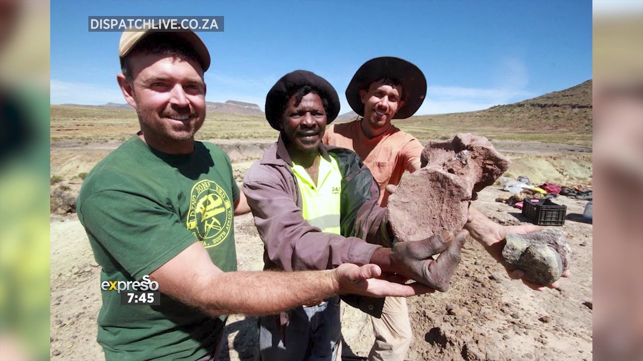 Largest Dinosaur Graveyard in The World Found In The Eastern Cape