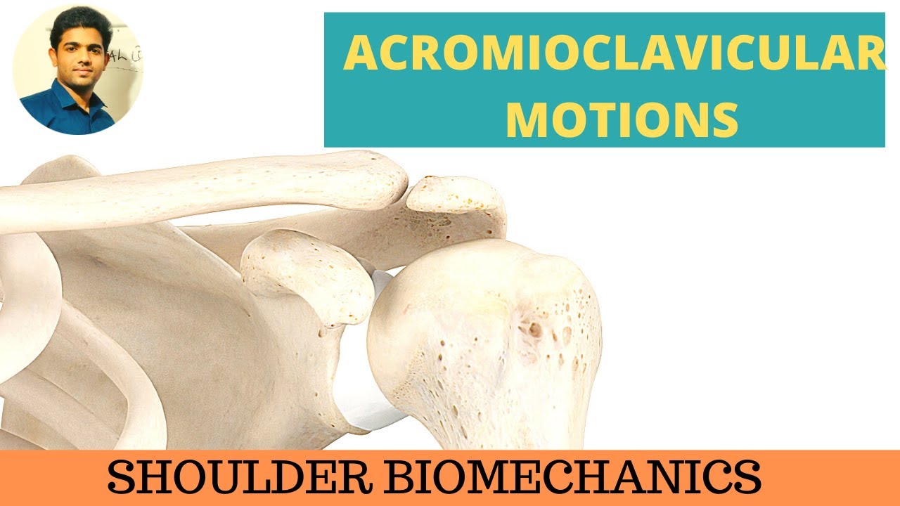 ACROMIOCLAVICULAR MOTIONS #SHOULDER BIOMECHANICS