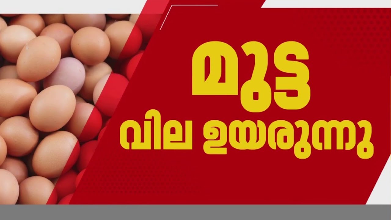 സംസ്ഥാനത്ത് മുട്ടവിലയും ഉയരുന്നു, ഒരു മാസത്തിനിടെ കൂടിയത് രണ്ട് രൂപ | Kerala Egg price Hike