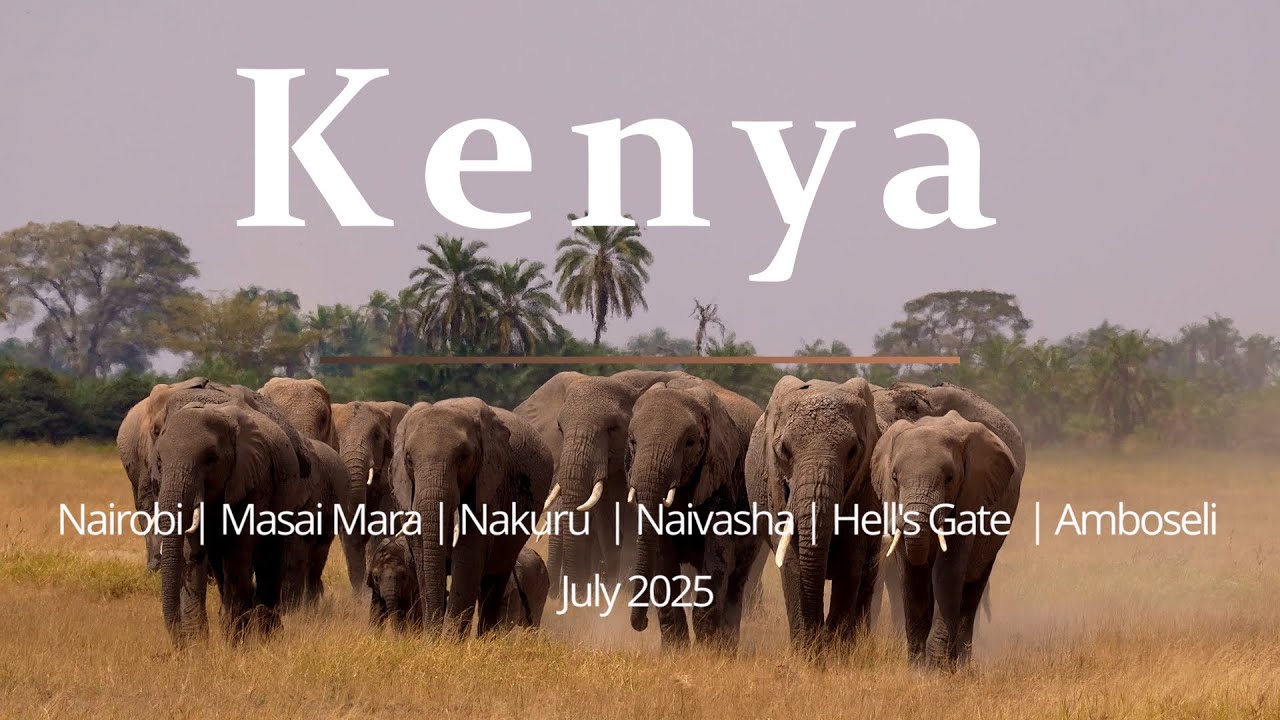 Kenya safari and Nairobi video #kenya #masaimaranationalpark #masaimara #safari
