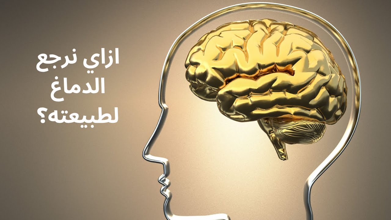 ازاي نرجع الدماغ لطبيعته؟