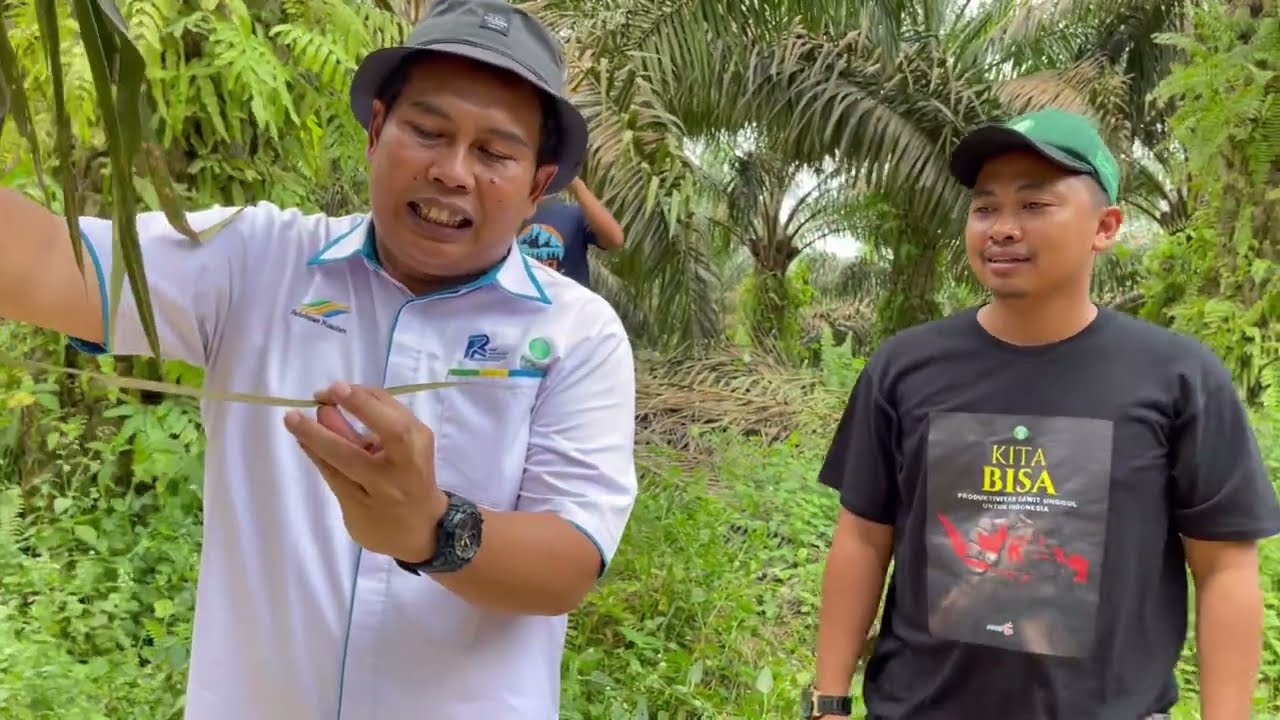 Karat Daun Kelapa Sawit || By : Djend. Muhayat PPKS Medan
