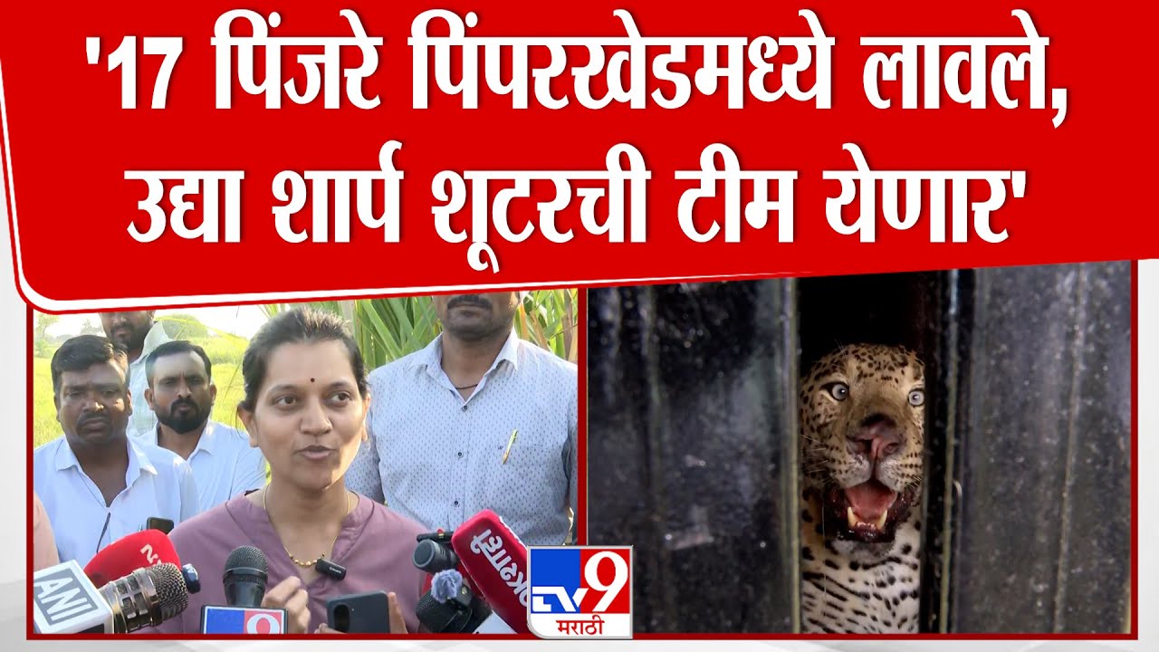Pune | '17 पिंजरे पिंपरखेडमध्ये लावले, उद्या शार्प शूटरची टीम येणार'-सहाय्यक वनरक्षक