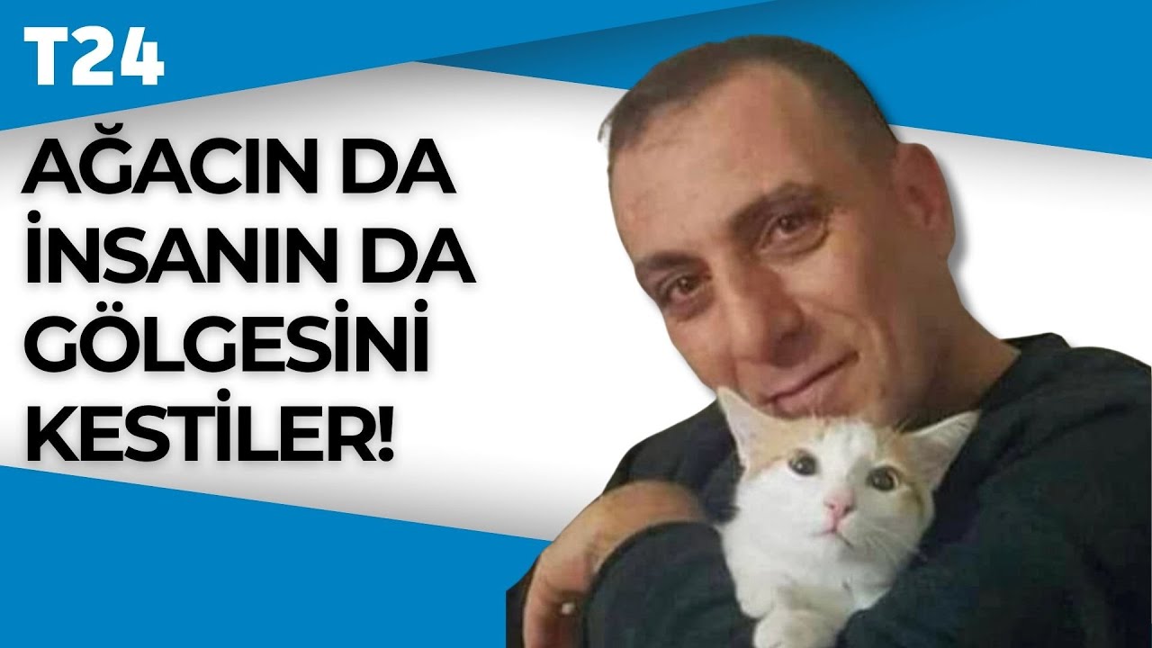 Reşit Kibar belgeseli: Orman kanunları orman sevdasına kıydı!