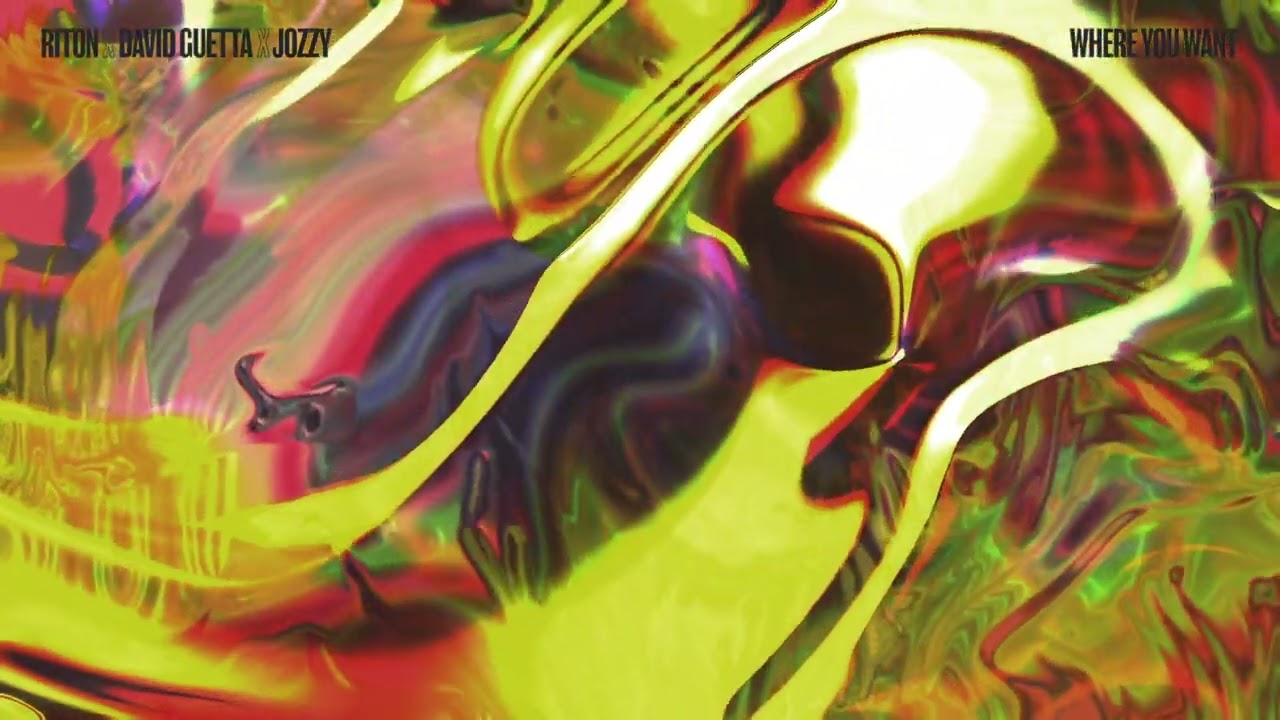 Riton x David Guetta x Jozzy - Where You Want [Visualizer]