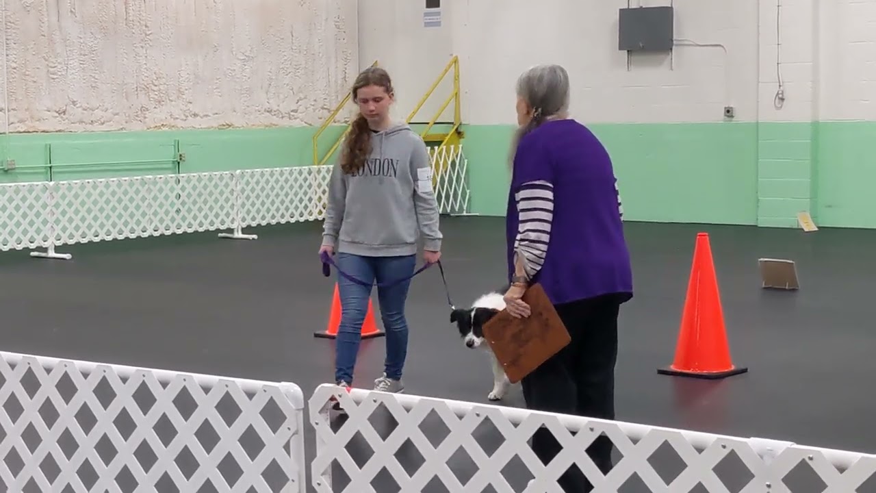 Rush, Beginner Novice Heeling pattern