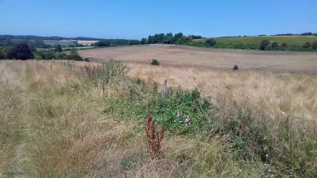 Petham July 13th 2018 360&deg; panoramic