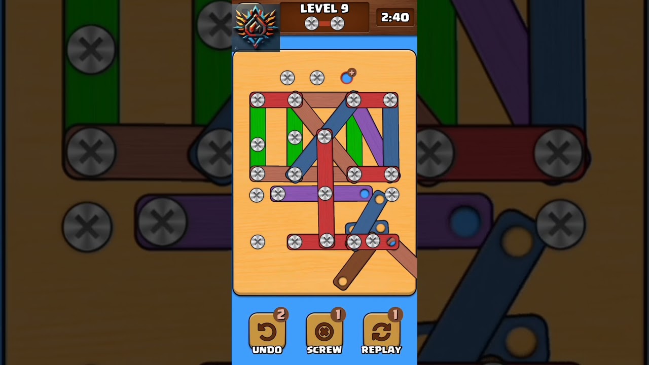 Nuts X Bolts and Screw Puzzle Level 9