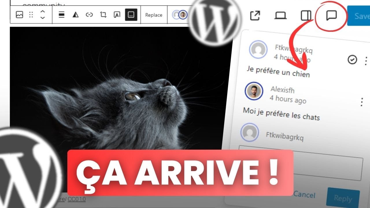 WordPress 6.9 : ENFIN ?! (7 nouveautés)