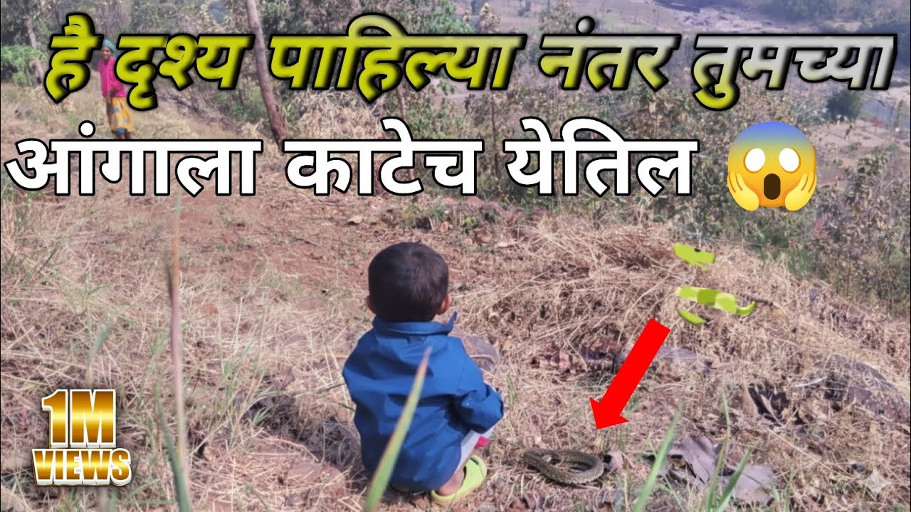 🐍 है दृश्य पाहिल्या नंतर तुमच्या😱अंगाला कटेच येतील | he drushe pahilya nantar katach Aala #viral