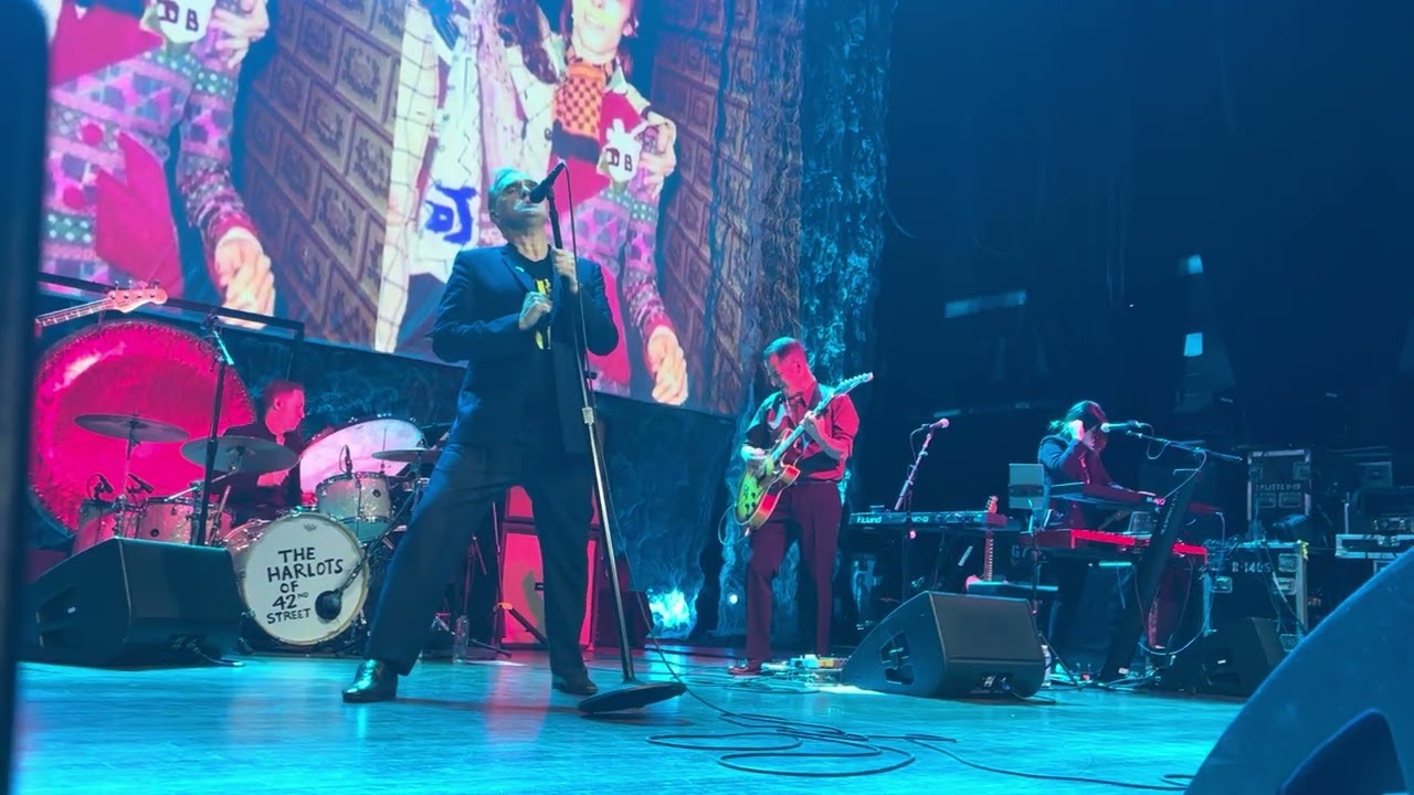 Rebels without applause Morrissey Flint November 20th 2024