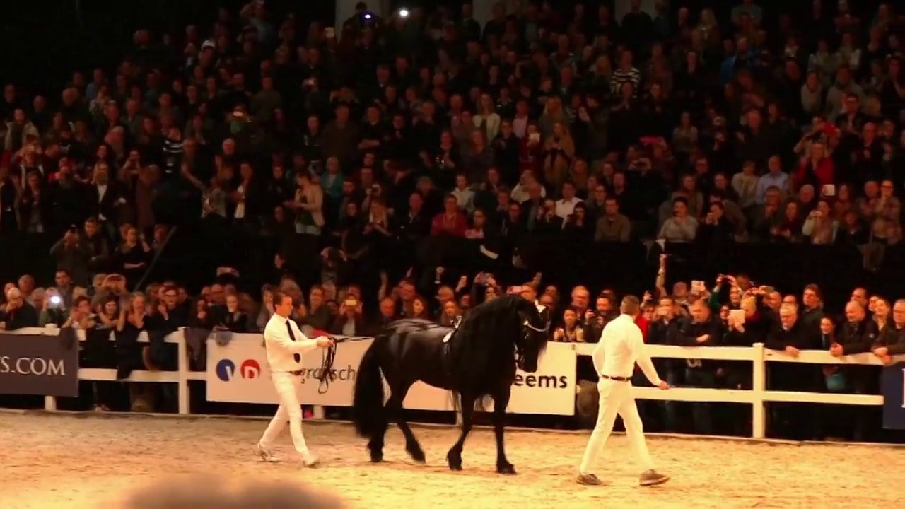 Jasper 366 Leeuwarden 2017