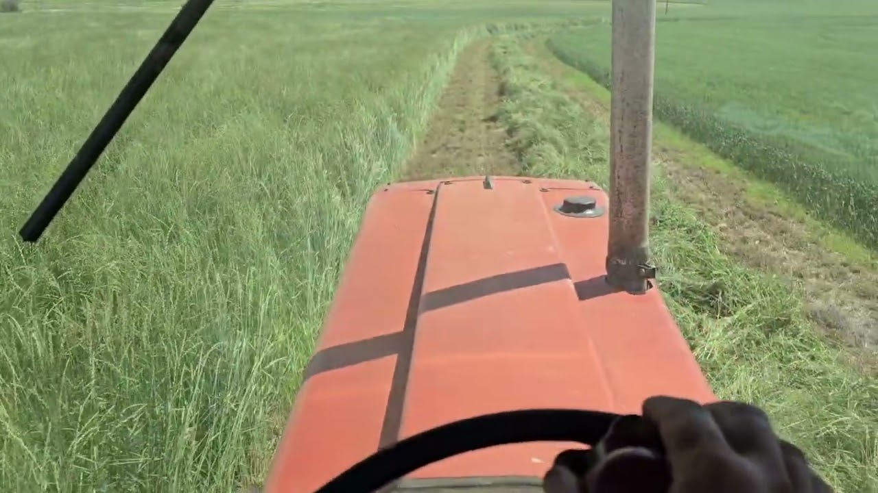 New Holland HW325 and 499 IH 886 Cutting hay SW North Dakota 
