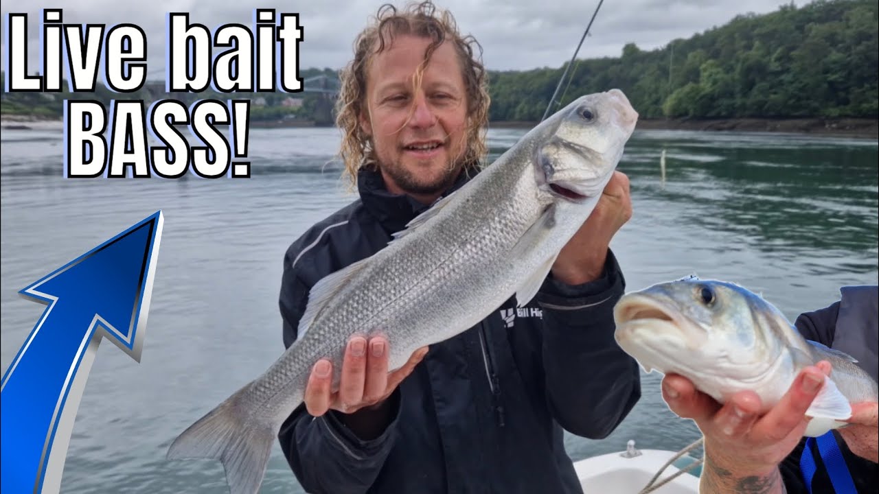 Bass Fishing With Live Bait (SAND EEL) - RED LETTER DAYS