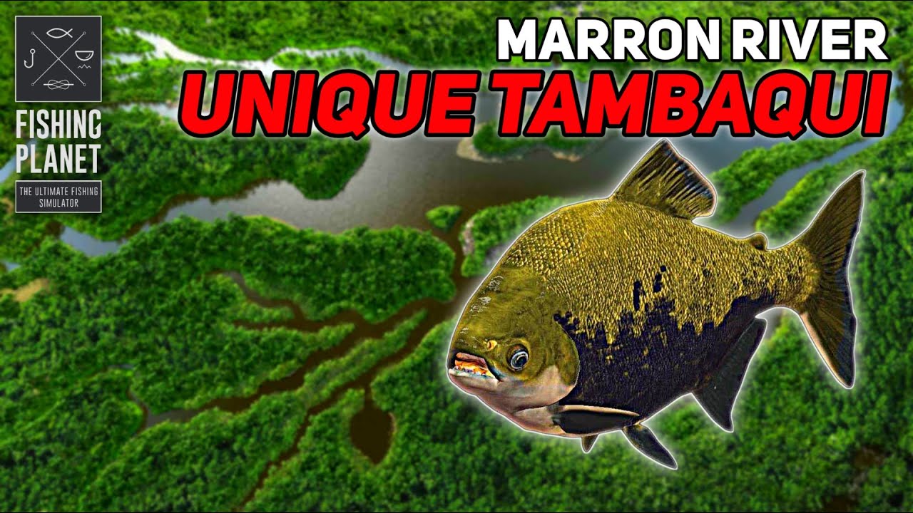 Unique Tambaqui Marron River - Fishing Planet