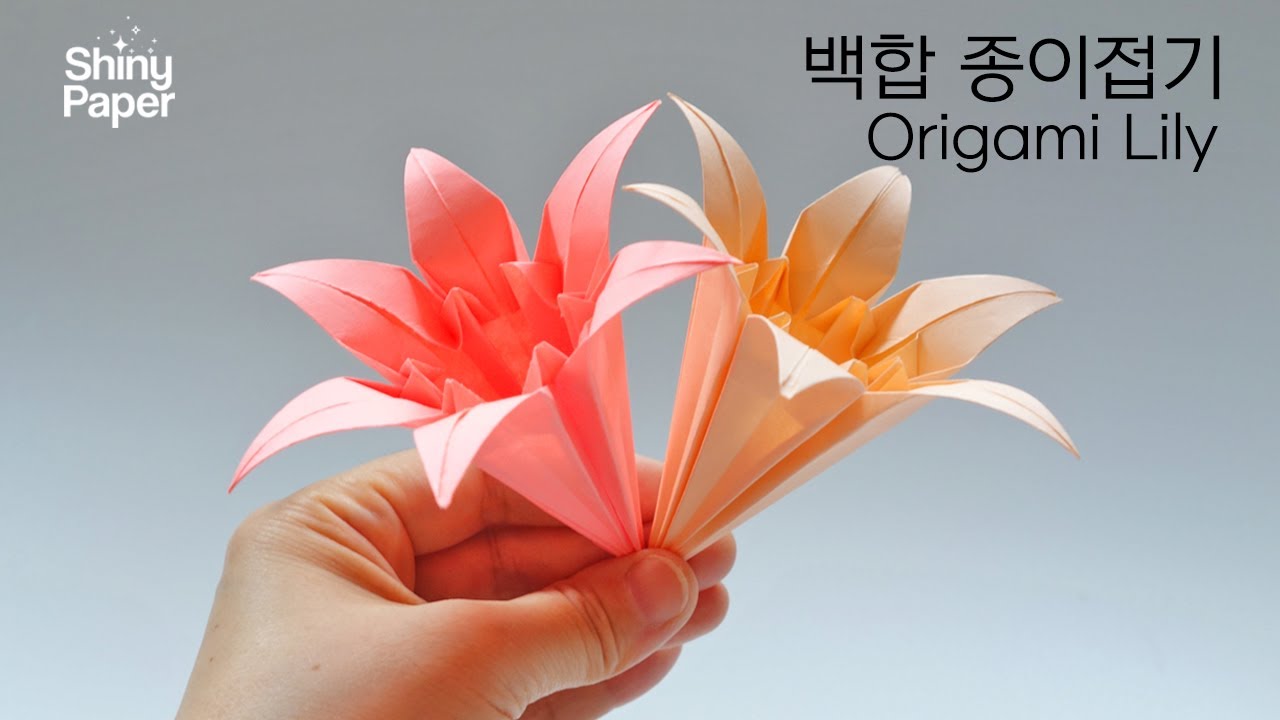 백합 종이접기 / 여섯잎 백합접기 / Origami Lily (Remake)