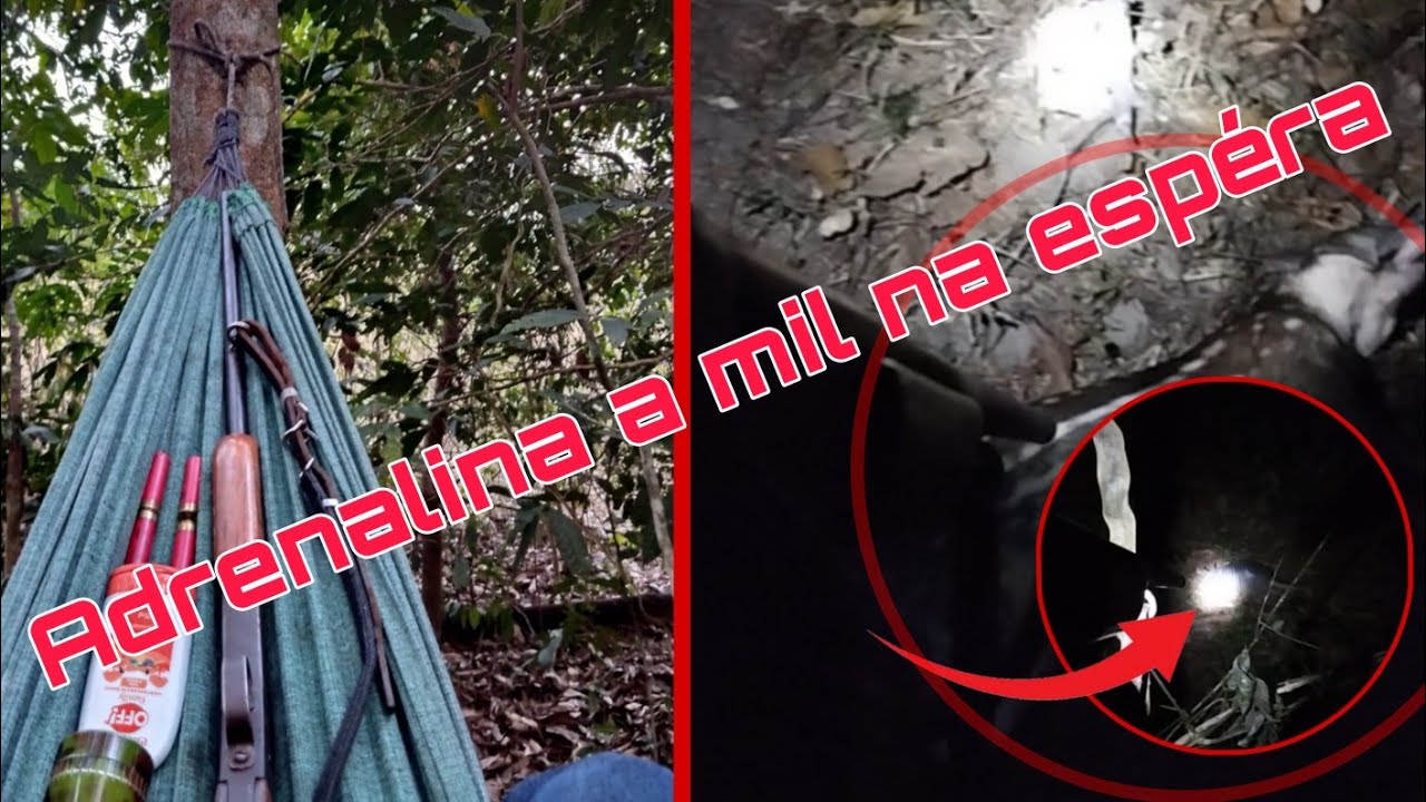 Espéra na Favinha Deu muita caça #selva #natureza #pesca #survivor