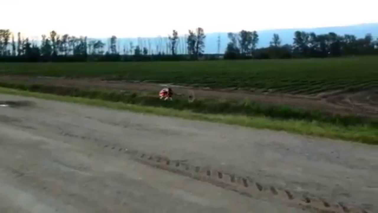 Helicopter  KDS  innova 600 Первый взлёт, настройка, and CRASH.....
