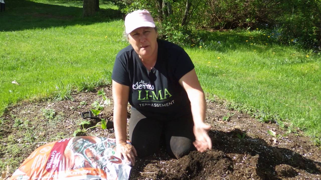 Découvrons les notions de base du jardin - capsule hebdomadaire 13 2016 - Marthe Laverdière