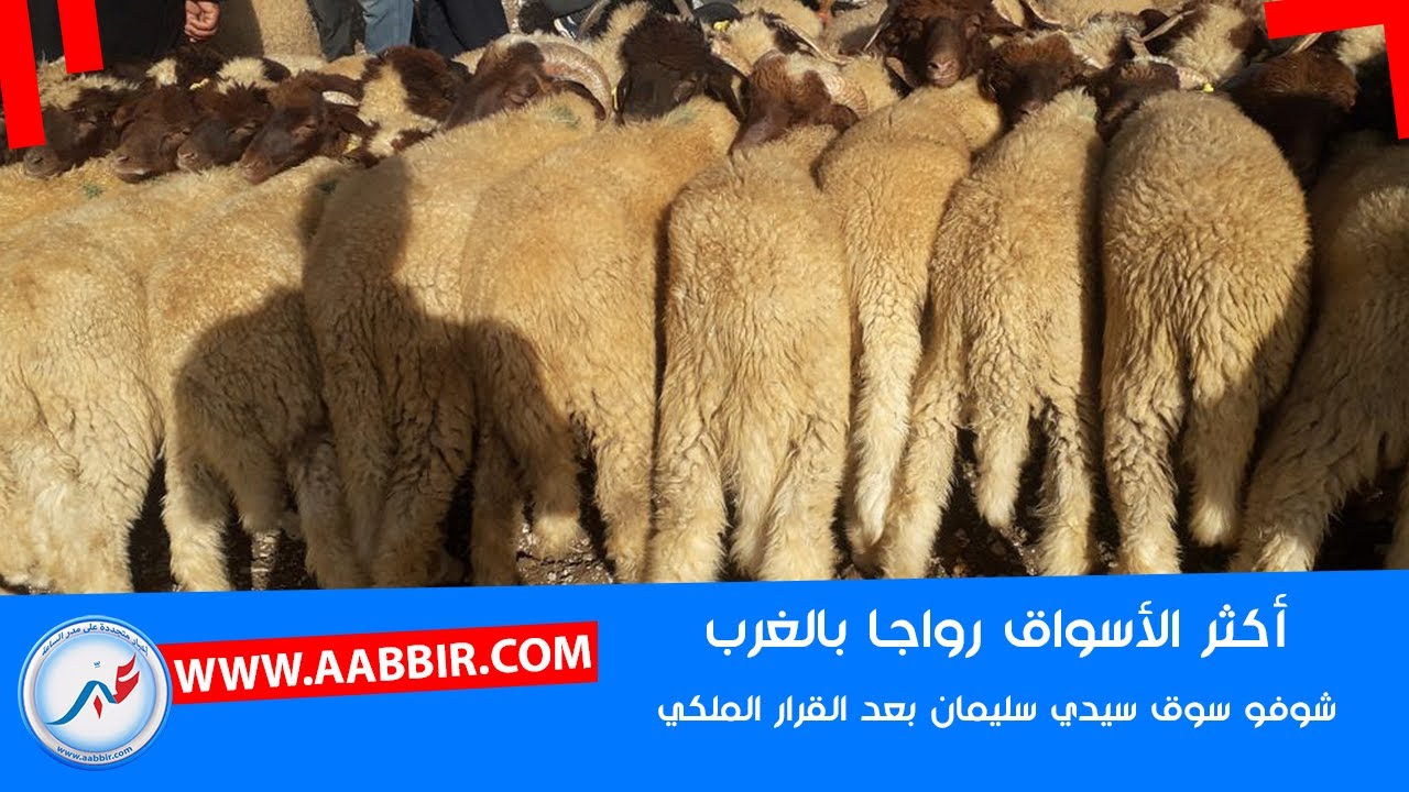 سوق سيدي سليمان: خالٍ من الحركة استجابةً لتوجيهات جلالة الملك.. ولكن المفاجأة..