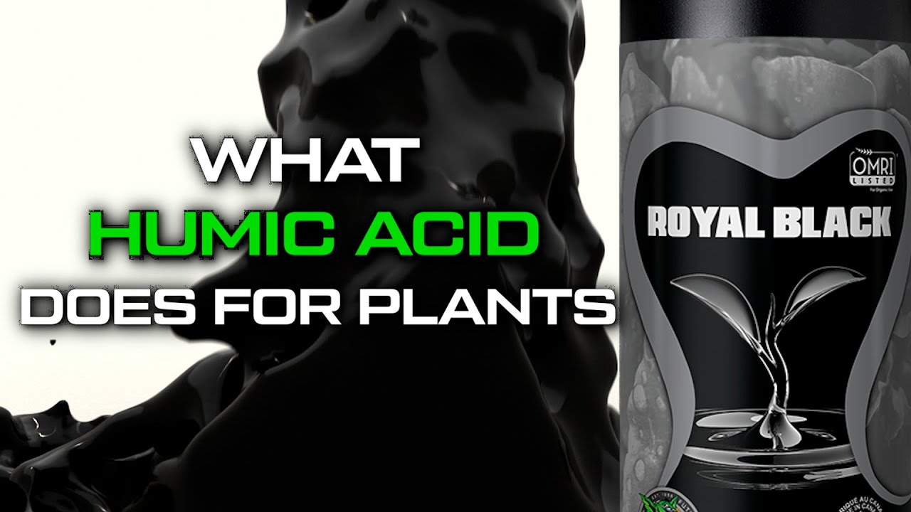 This Is What Humic Acid Does For Plants