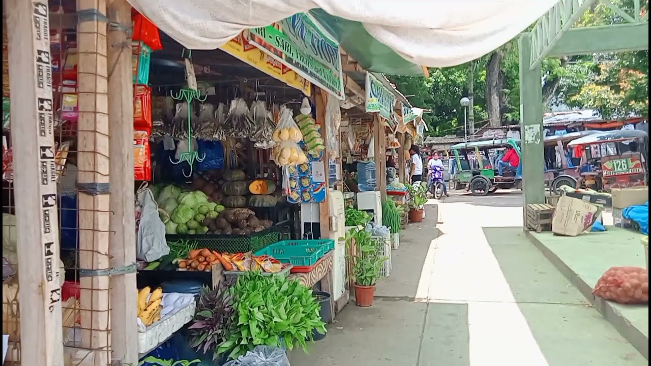 Manjuyod City Negros Oriental|manjuyod market
