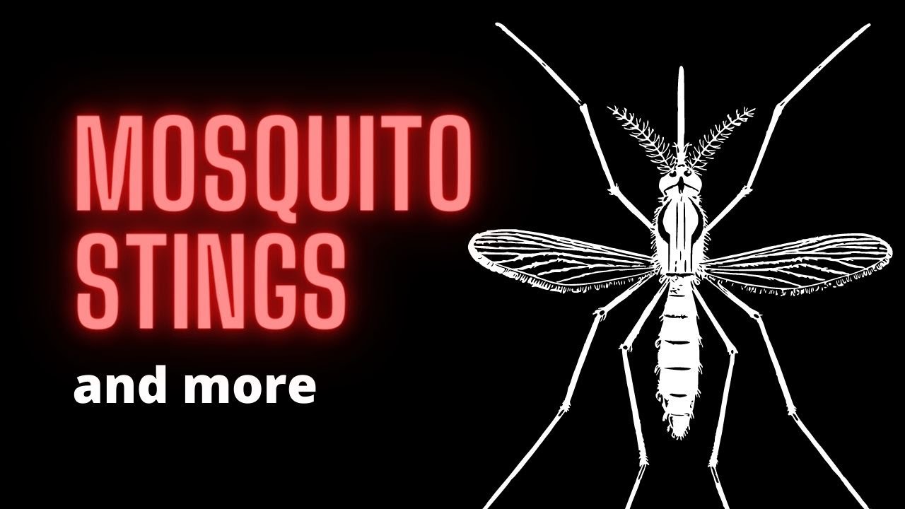 How to bring down the swelling after insect stings...and vaccines. FAST!
