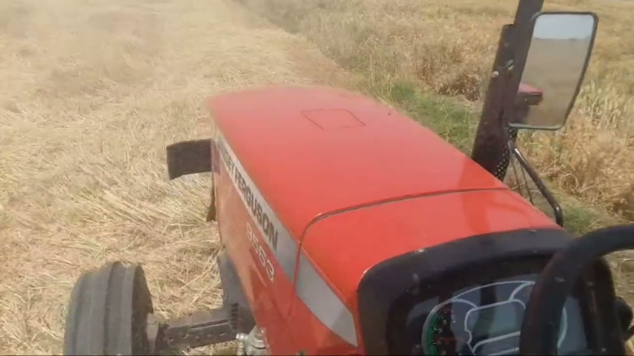 Massey Ferguson 9563 CRDi with Straw Reeper 💯 #tractor #massey #viral #farming #jatt #farmer #swaraj