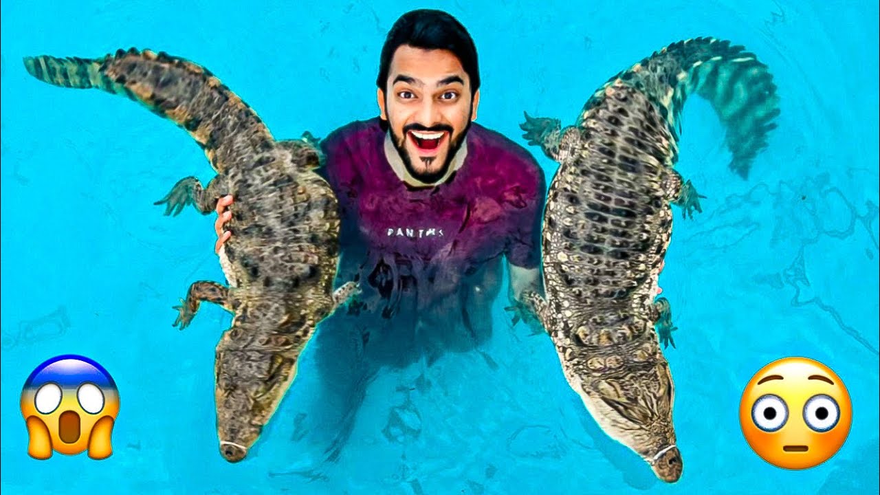 SWIMMING WITH CROCODILES 😍| ADVENTUROUS VLOG | MISHKAT KHAN | THE FUN FIN