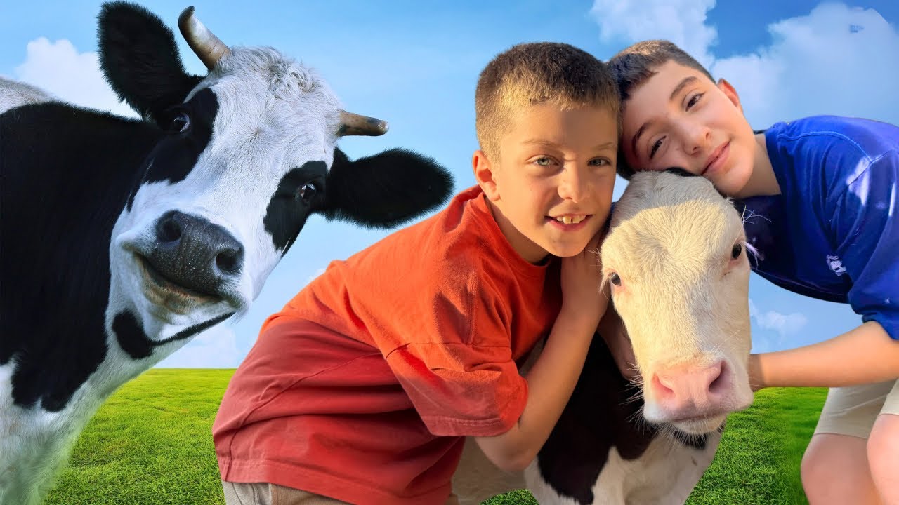 КОРОВЫ для детей 🐮 Оливер и Лукас доят коров и кормят телят 🐄 Образовательные видео для детей