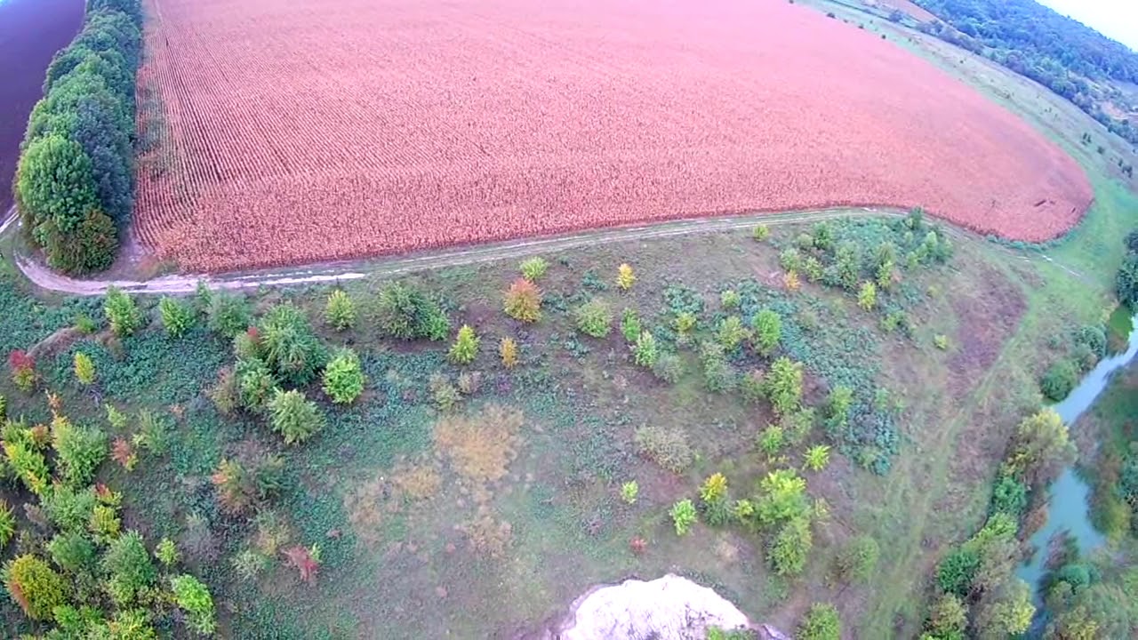 Вороне