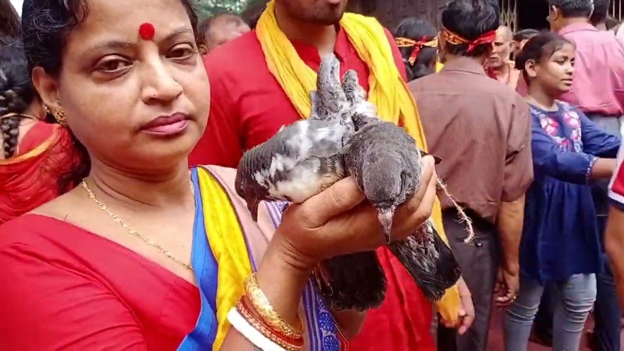 A visit To kamakhya Temple