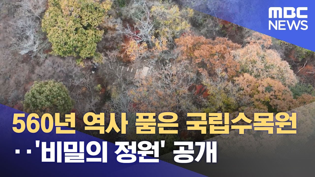 560년 역사 품은 국립수목원‥'비밀의 정원' 공개 (2024.11.25/뉴스투데이/MBC)