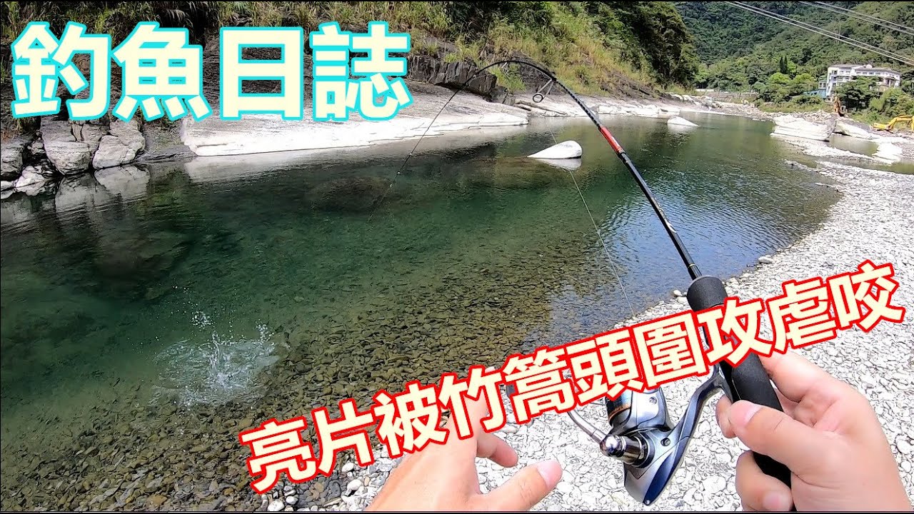 【夯魚癡】LureGee亮片被竹篙頭圍攻虐咬，選對顏色就超咬