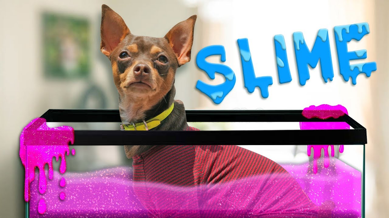 MARQUÉ MI CUERPO EN SLIME | POLINESIOS VLOGS