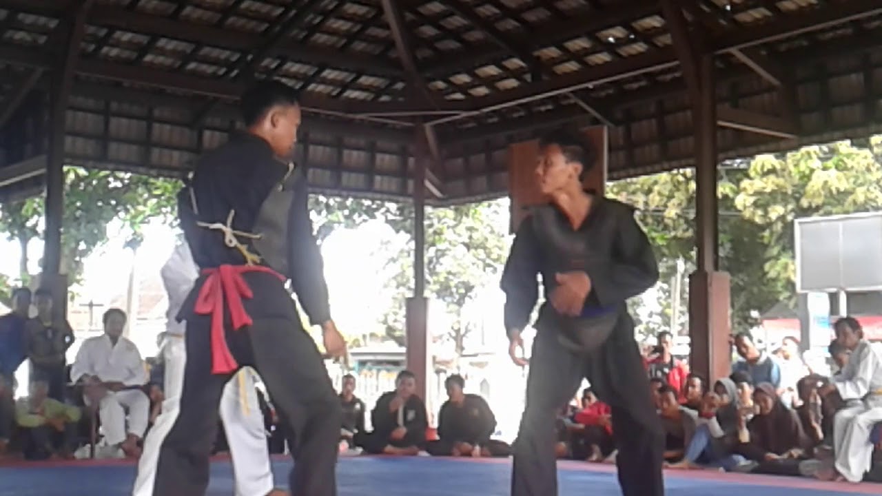 Pencak Organisasi vs PSHT tanding O2SN di Padepokan P.O Lumajang