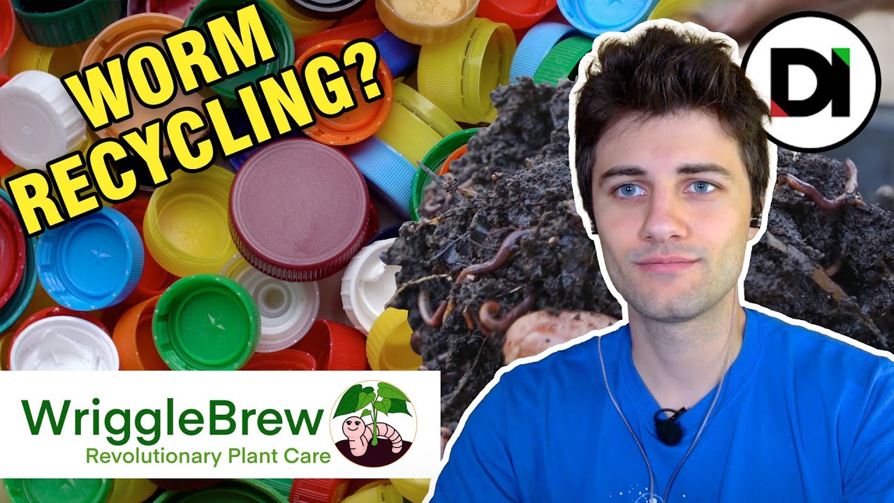 What Makes Wriggle Brew So Special?