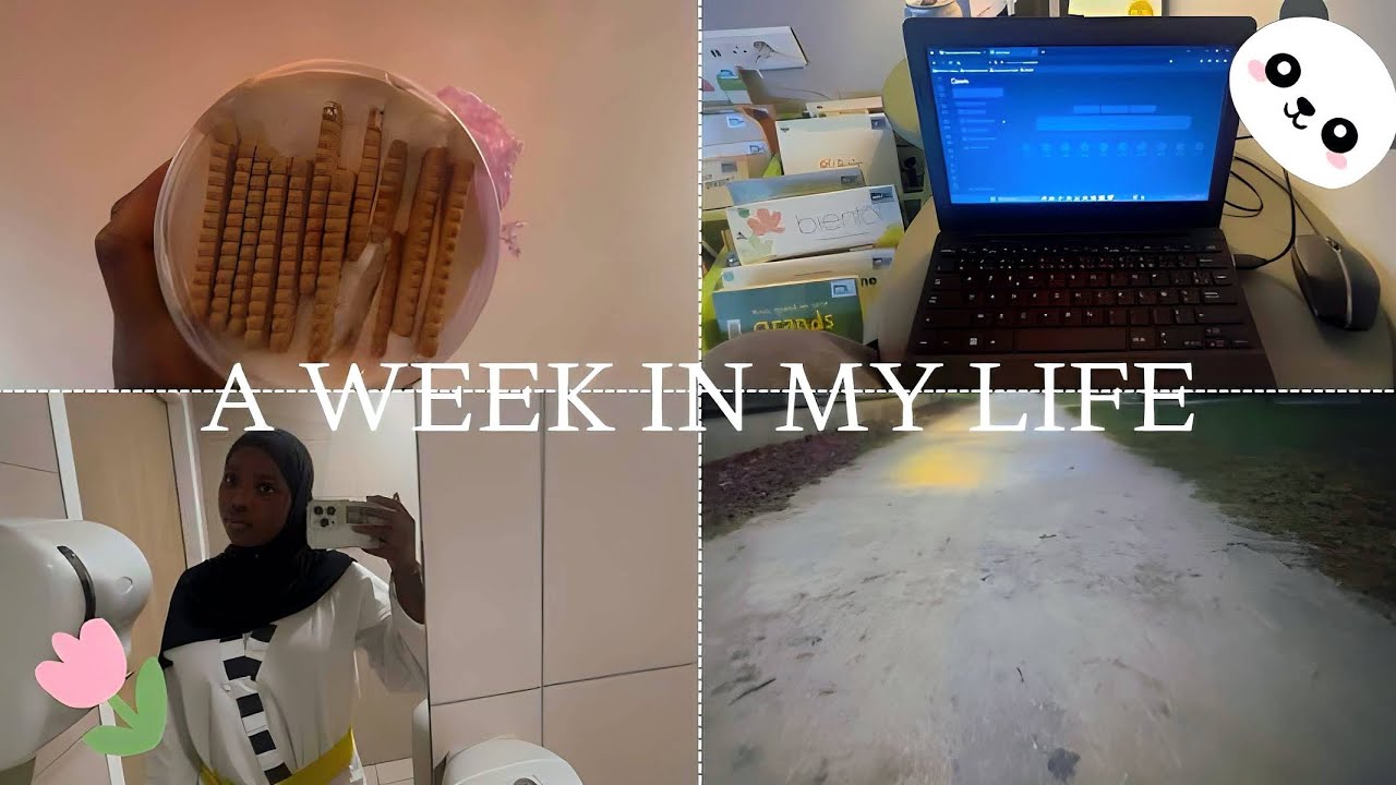 A week in my life .✦ ݁˖