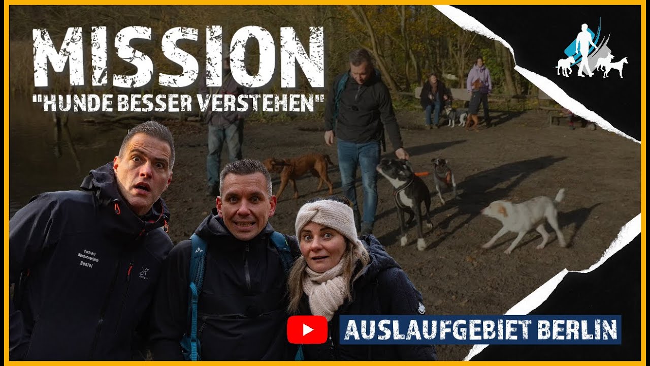Beißerei im Hundeauslaufgebiet - ich muss dazwischen gehen!