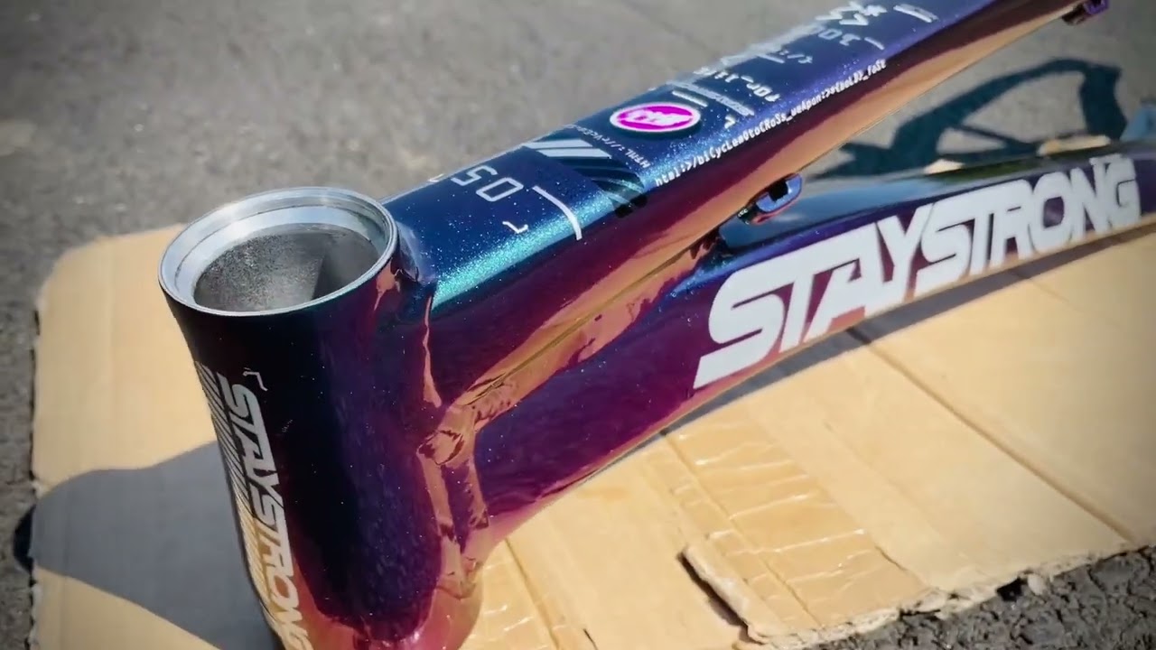 STAY STRONG: V5 CHAMELEON FRAME