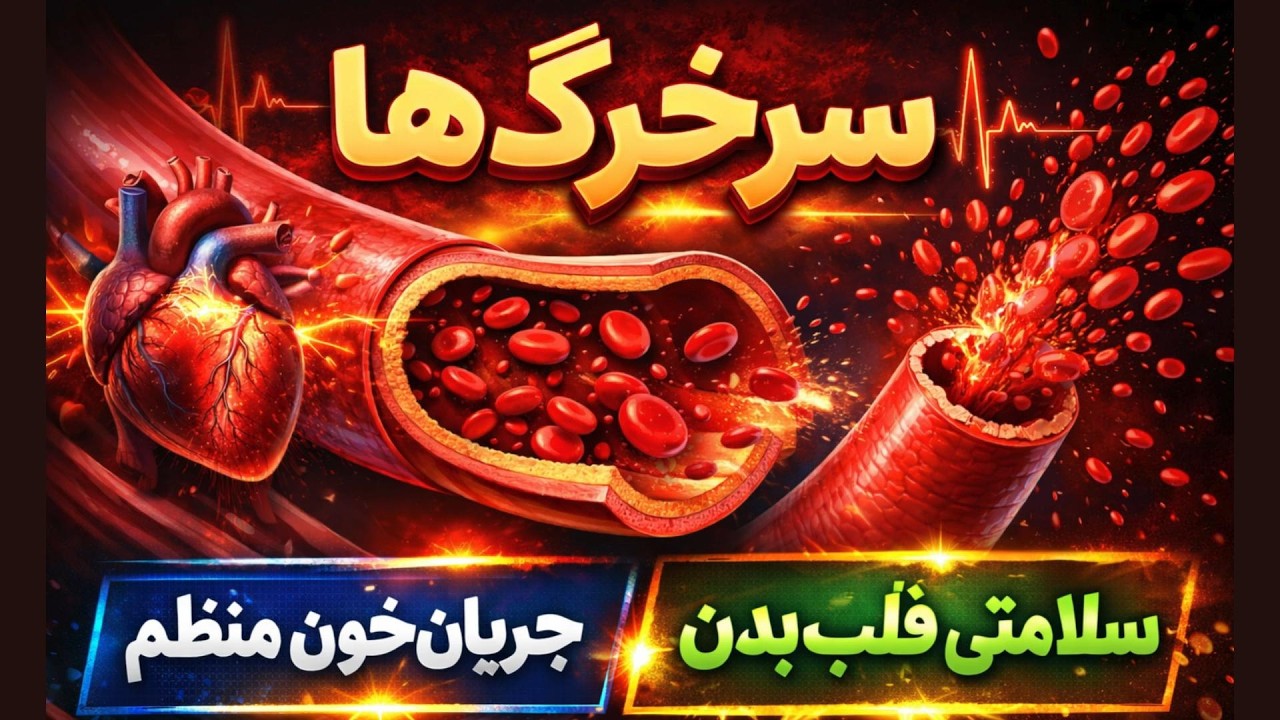 وقتی بطن منقبض می‌شود و سرخرگ‌ها کش می‌آیند 😅 چرا سرخرگ‌ها عمقی‌اند؟ 💘 آموزش تستی سرخرگ